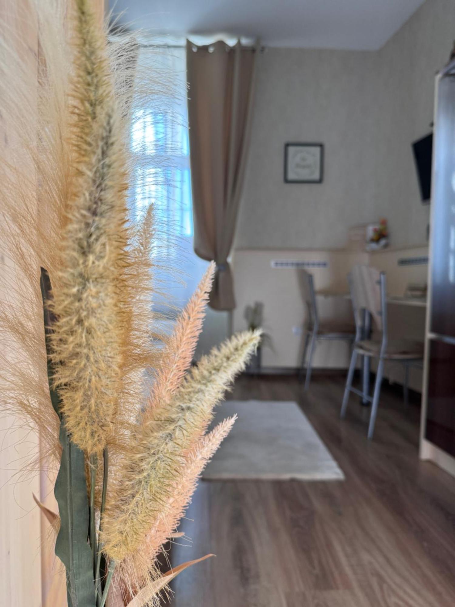 Safit-Mandala Apartment Mosonmagyaróvár Exterior foto